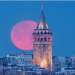 Meet your Posher, Safiye